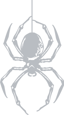 spidr logo